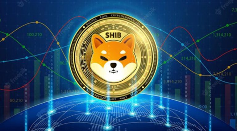 Decline in Shiba Inu Burning Rate -99% – EverGrow Jumps 349%