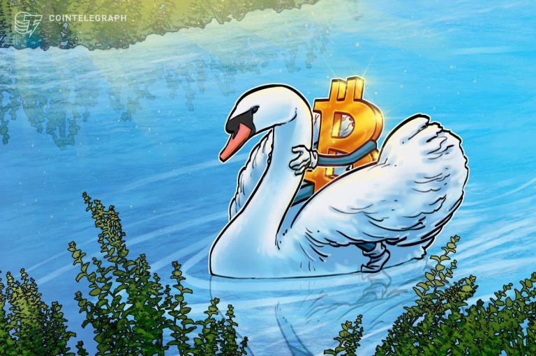 What Can Swan Bitcoin Do For You?