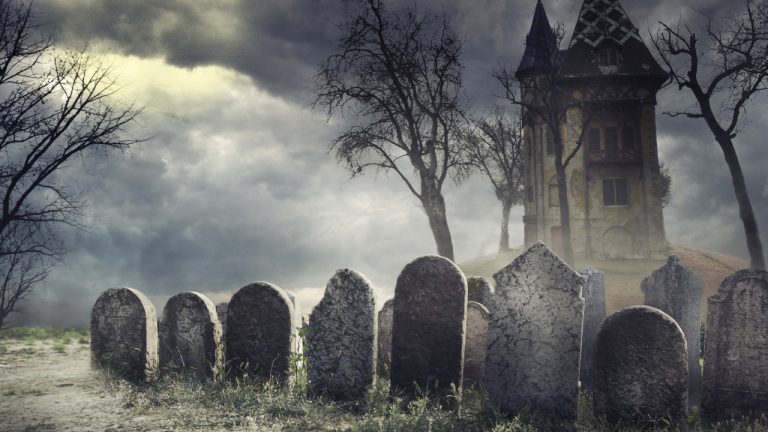 Crypto Enthusiasts Assess the Graveyard of Technical Indicators That Failed to Forecast Bitcoin’s Bottom Bitcoin News