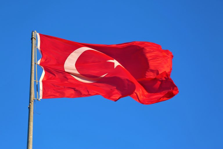 Survey Reveals Turkey’s Fervor for Dogecoin and Elon Musk’s Twitter Acquisition