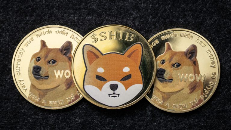 Crypto Market Slump as SHIB Falls to 20 Day Low, DOGE Also Declines