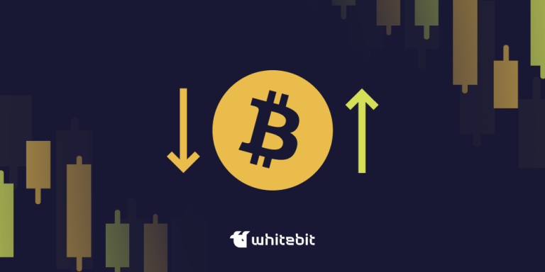 WhiteBIT Professional Fundamental Analysis: How to Forecast Cryptocurrency Values