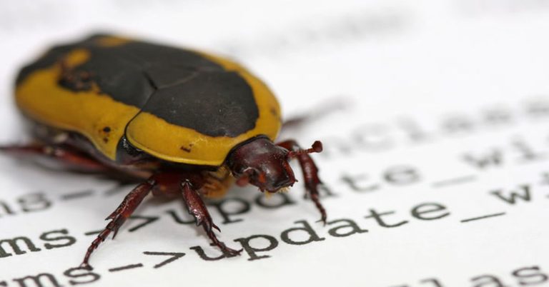 Raydium Invests $2.3M in Bug Bounty Program