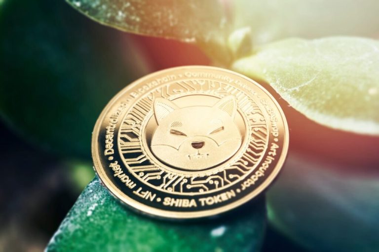 The Last Chance to Invest in Big Eyes Coin and its Potential to Rival Dogecoin and Shiba Inu