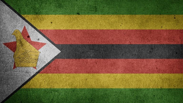 IMF Warns Zimbabwe’s Gold-Backed Digital Currency a Potential Risk to Financial Stability – Africa