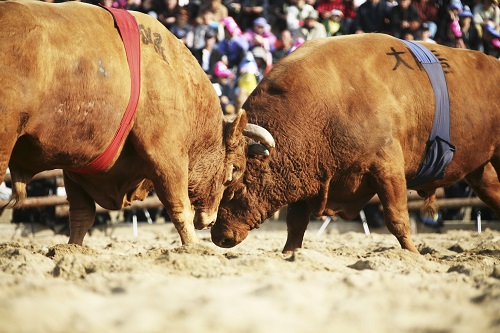 Bulls Get Boost as Technical Indicators Point to Rising Casper Prices