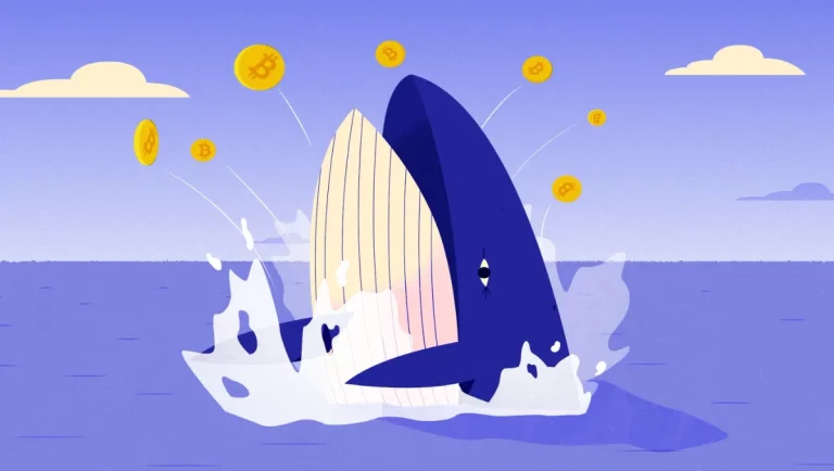 Altcoin Rally Sees Top Whales Jumping In: What’s Next?